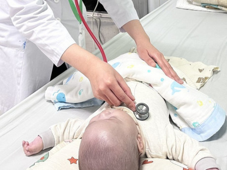 Ho gà tấn công nhiều em bé Hà Nội