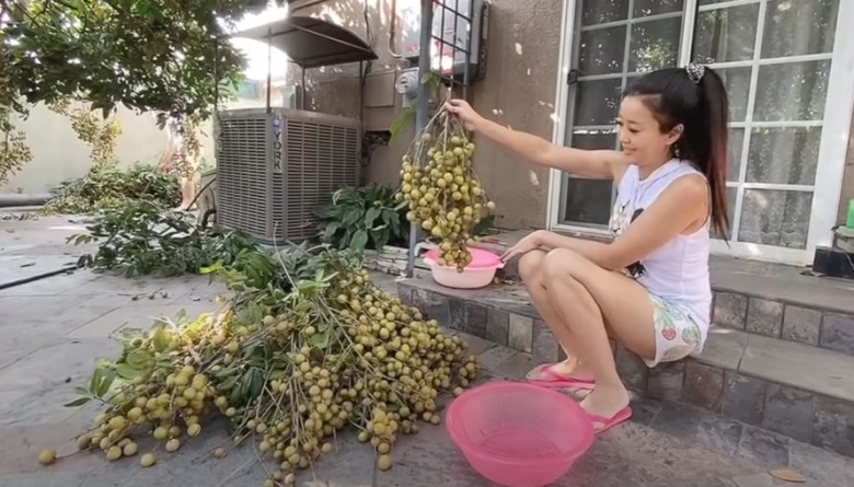 Ông cùng vợ trực tiếp chăm sóc vườn mà không cần thợ. Các cây trong vườn được trồng tự nhiên, không phun thuốc nên đảm bảo sức khỏe cho mọi người.