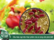 Clip Eva - Dấu hiệu ngộ độc thực phẩm mà ai cũng cần phải biết