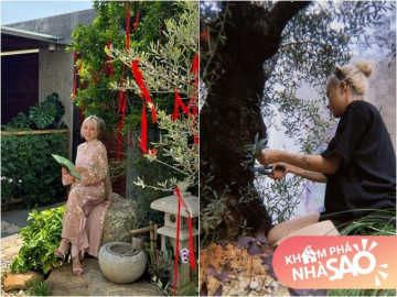 Vợ quốc dân Phương Ly sống trong cơ ngơi xinh: Khu vườn ngập tràn hoa lá, có cụ cây gần 200 tuổi