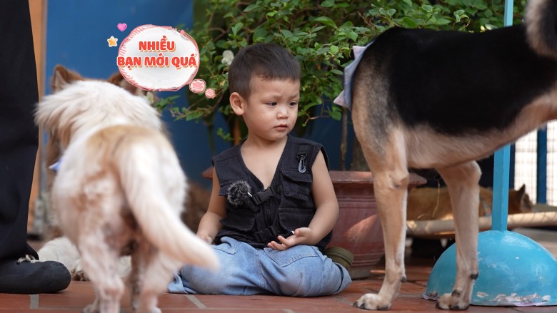 Lý do này có thể hiểu, do cậu nhóc nhà Lâm Minh chỉ mới 2 tuổi, độ tuổi còn quá nhỏ để nhận thức đủ nỗi sợ của mình. 