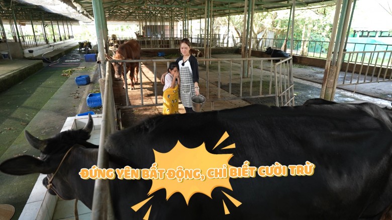 Mẹ con Phạm Quỳnh Anh phải sống nhờ nhà người lạ, vất vả đi vắt sữa bò, chăn dê - 5