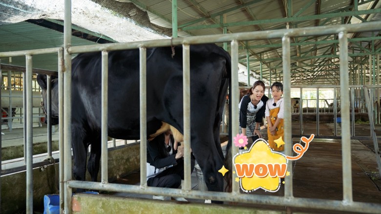 Phạm Quỳnh Anh đã cùng con gái bước qua vùng an toàn của mình, ngay từ đầu cô khẳng định rằng: “Quỳnh Anh nghĩ đó là điều cần thiết cho cả Quỳnh Anh và con của mình”.
