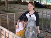 Giải trí - Mẹ con Phạm Quỳnh Anh phải sống nhờ nhà người lạ, vất vả đi vắt sữa bò, chăn dê