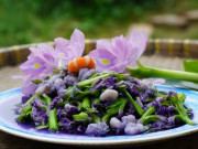 Sức khỏe - Rau này xưa làm thức ăn cho gia súc, nay nhiều người trồng làm rau đặc sản xuất ngoại, ăn đúng còn ngừa ung thư
