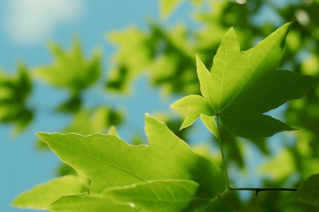 Đã là ý trời thì cứ kệ, lòng người vṓn khó ᵭoán nên ᵭừng bận tȃm! - 2