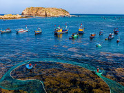 Lifestyle - Khám phá rừng rong mơ đẹp như tranh ở làng chài Nhơn Hải