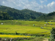 Lifestyle - Khám phá Măng Đen - Lá phổi xanh của núi rừng Tây Nguyên