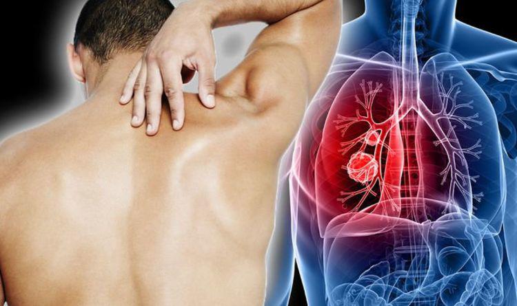 Đau lưng có thể liên quan tới K: Đau lưng do ung thư và đau lưng thông  thường khác nhau thế nào?