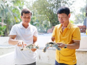Tin tức - Nghề lạ ở Việt Nam: Tình cờ mang loài giống ba ba về nuôi, cho ăn thứ rẻ tiền, bán làm đặc sản lãi 1 tỷ đồng/năm