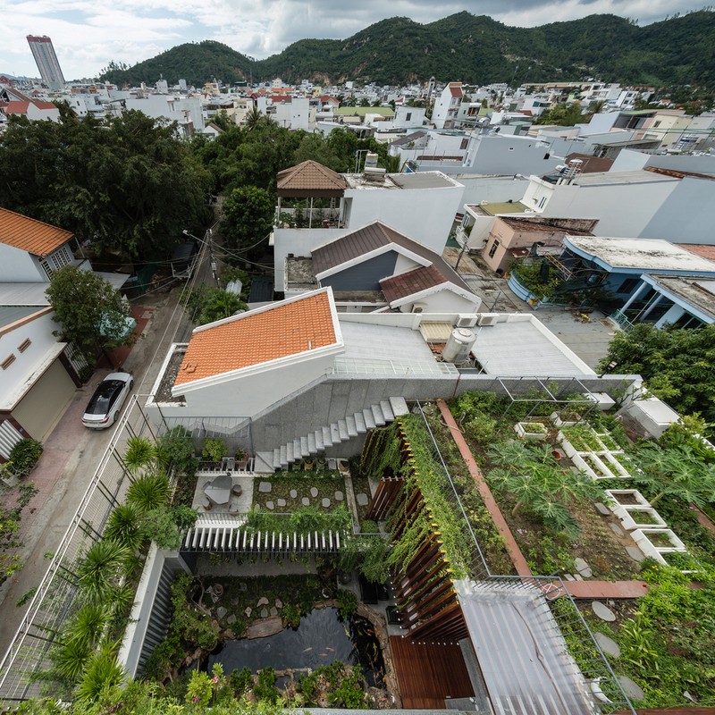 Báo Mỹ ngỡ ngàng ngôi nhà trồng rừng cây trên mái ở Nha Trang - 2
