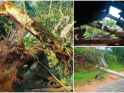 Tin tức - Mưa đá kèm theo lốc xoáy, nhiều ngôi nhà ở Nghệ An bị tốc mái