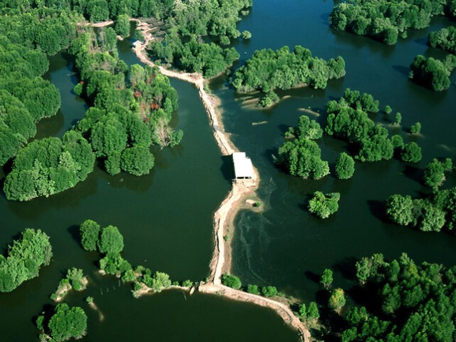 Đến Cần Giờ, du khách sẽ được hòa mình vào bầu không khí trong lành của biển, ngắm nhìn những cảnh quan thiên nhiên tươi đẹp, và thưởng thức các món ăn hải sản tươi ngon. Nơi đây còn mở ra những trải nghiệm thú vị như đi thuyền len lỏi qua những rặng dừa nước, câu cá, tắm biển, hoặc tham quan khu di tích lịch sử Rừng Sác.