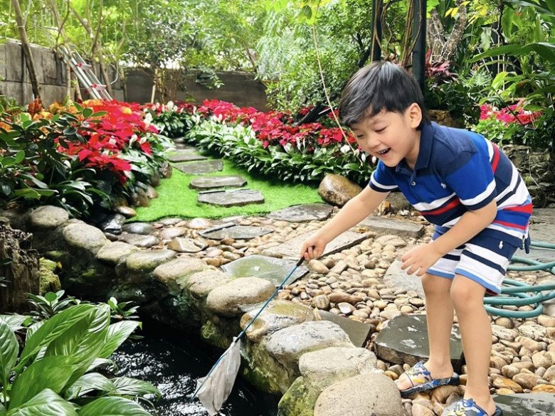 Trong khu vườn có nhiều hoa cỏ, hồ nước, chim, cá... Đàm Vĩnh Hưng chia sẻ rằng mỗi sáng trước khi đi học, cậu con trai Polo đều câu giờ đi dạo chơi trong vườn.