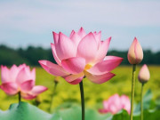 Eva tám - Người khôn ngoan hiểu: Sạch sẽ là phong thủy tốt nhất cho con người
