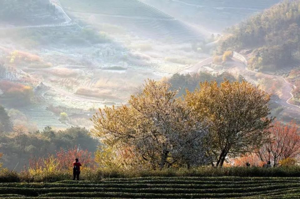 Cách hành xử khôn ngoan nhất: Tròn bên ngoài và vuông bên trong - 3