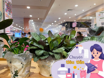 “Làm nông dân” ở văn phòng, Gen Z không tiếc tiền “chi bạo”