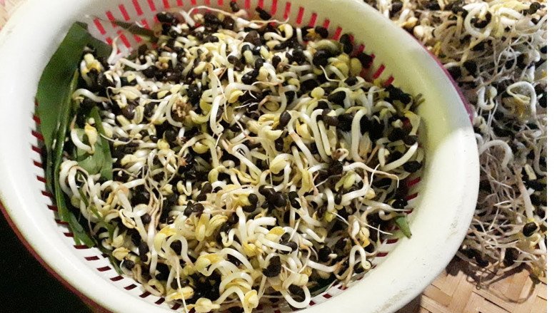 3 loại rau giá đỗ rẻ như cho, ăn vào dưỡng gan, thông huyết