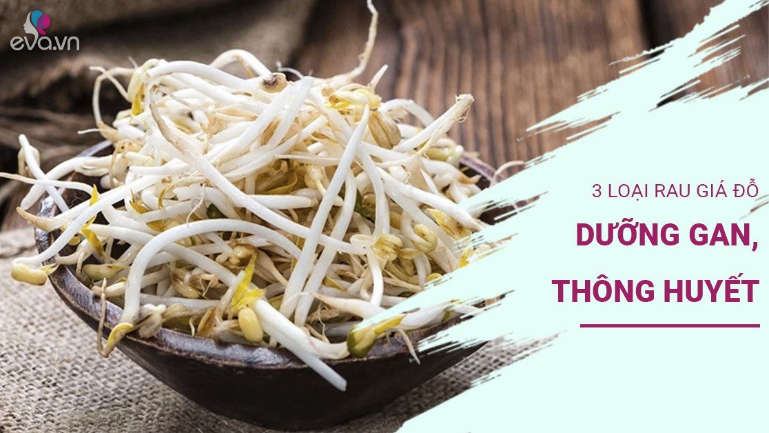 3 loại rau giá đỗ rẻ như cho, ăn vào dưỡng gan, thông huyết