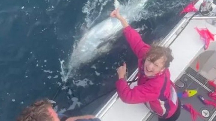 Bé gái 9 tuổi câu được con cá ngừ khổng lồ giá 2,2 tỷ đồng