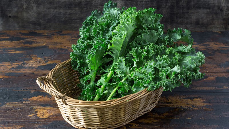 Chất indole-3-carbinol trong cải kale có thể giúp cơ thể chống lại ung thư ruột kết, phổi, vú, tuyến tiền liệt. Chất này còn có khả năng kích thích hoạt động của các enzyme giải độc trong ruột, gan giúp quá trình trao đổi chất trong cơ thể tốt hơn.
