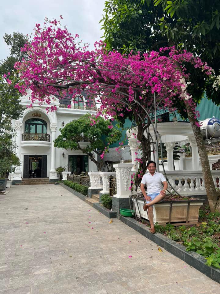 Dàn hoa giấy nở rộ khoe sắc.