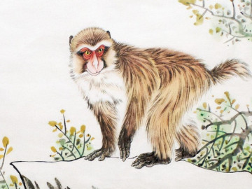 4 con giáp càng có tuổi lại càng hấp dẫn