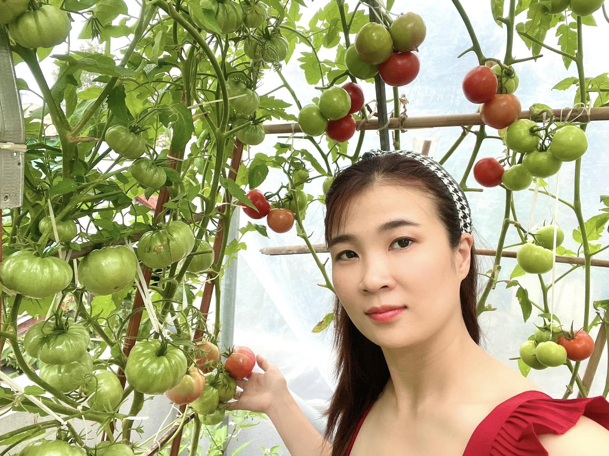 Chị Minh Ngọc bắt đầu làm vườn trên sân thượng từ tháng 3/2023.