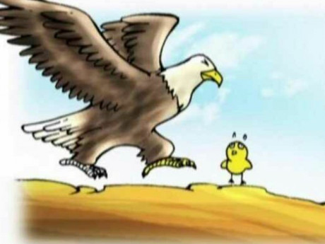 Bài toán lớp 1 tưởng dễ nhưng bị gạch sai, cô giáo đưa ra đáp án càng khiến phụ huynh tranh cãi