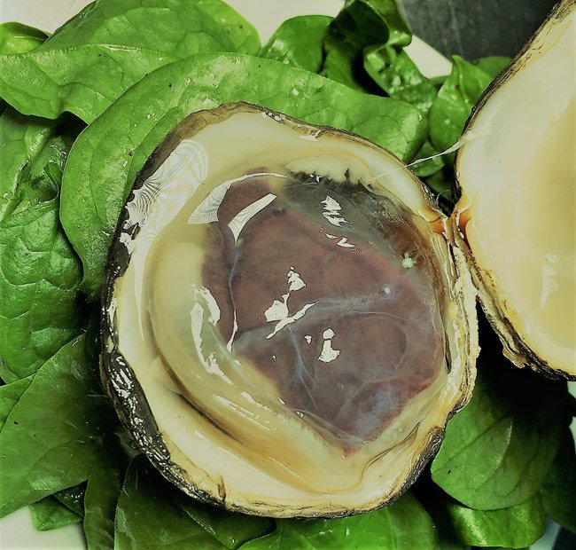 Con ngán vô cùng bổ dưỡng, có thể chế biến thành nhiều món ngon