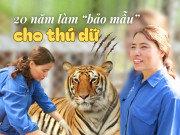 Người phụ nữ hơn 20 năm làm bảo mẫu cho thú dữ, có lúc phải mắc màn ngủ cạnh để chăm hổ ốm