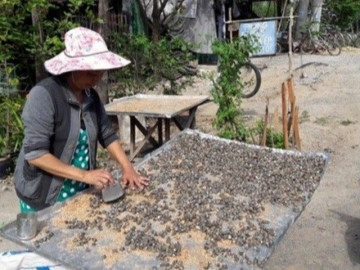 Đặc sản chỉ có ở An Giang, xưa không ai ăn nay dân thành phố săn lùng vào mùa hè, vừa lạ vừa ngon