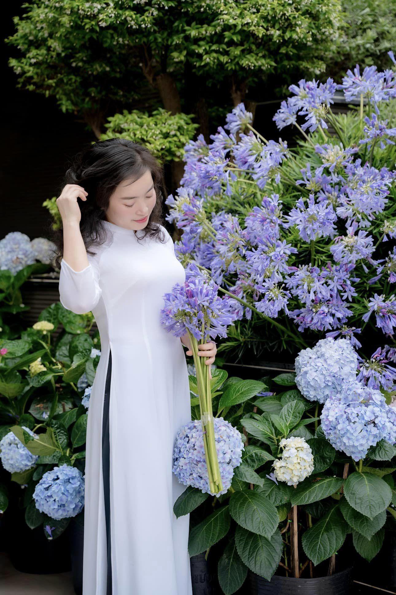Mẹ đảm cho biết, hoa cẩm tú cầu có màu trắng, hồng, xanh. Khi thêm màu xanh tím của hoa Arapang sẽ rất nổi nên chị đã mua 70 bó hoa Arapang về điểm xuyết thêm.