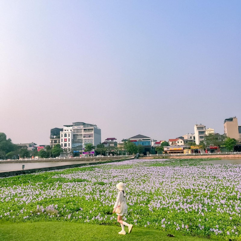 Nhìn khung cảnh thơ mộng, yên bình như này chắc chắn ai cũng phải xao xuyến. (Ảnh: Phương Tali)
