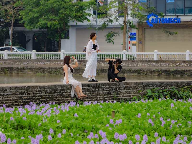 Thời điểm này, tranh thủ hoa lục bình đang nở rộ, rất nhiều bạn trẻ đã tìm đến khu vực Phúc Đồng, Long Biên để chụp ảnh. (Ảnh: Vương Lộc)

