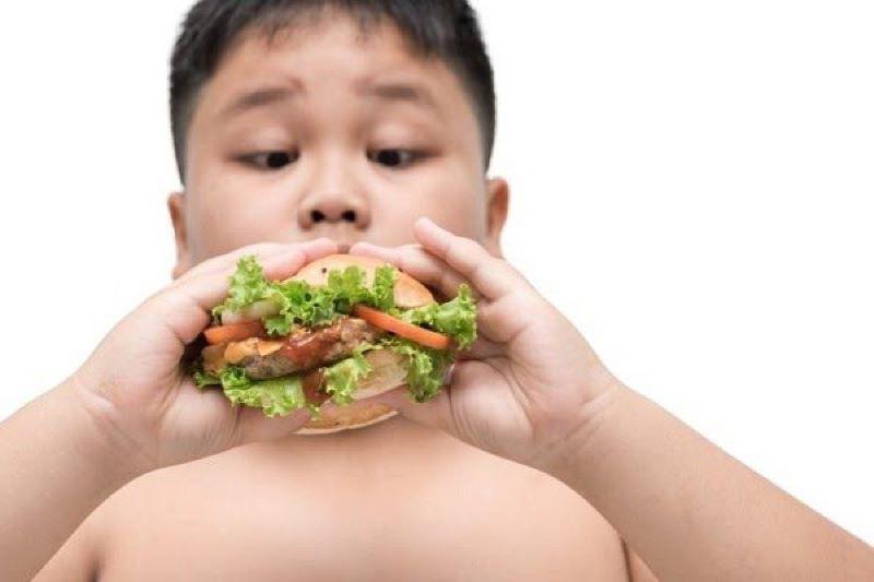 Một trong những nguyên nhân dẫn tới dậy thì sớm là tình trạng trẻ thừa cân - béo phì, liên quan tới cách ăn và món trẻ ăn hằng ngày. Dưới đây là những thực phẩm cha mẹ hạn chế cho con ăn để tránh nguy cơ dậy thì sớm:
