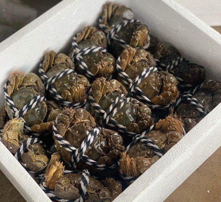 Đặc sản độc nhất vô nhị chỉ có ở Bắc Giang, xưa không ai biết đến nay dân thành phố amp;#34;săn lùngamp;#34;, 900.000 đồng/kg - 3