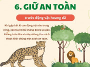 Nuôi con IQ EQ - Kỹ năng sống cho trẻ mầm non (P32): Dạy con 8 kỹ năng sinh tồn để an toàn khi không có bố mẹ