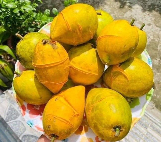 Loại quả xưa chín rụng không ai ăn, giờ thành đặc sản mùa hè dân thành phố thích mê, bán trên chợ mạng 55.000/kg - 1