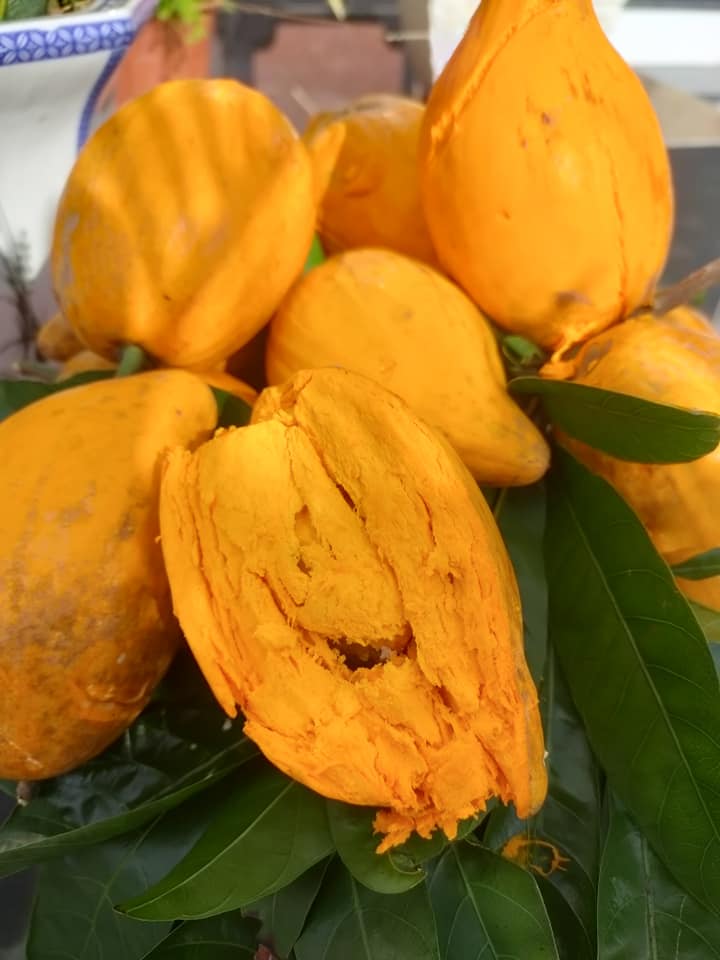 Loại quả xưa chín rụng không ai ăn, giờ thành đặc sản mùa hè dân thành phố thích mê, bán trên chợ mạng 55.000/kg - 2