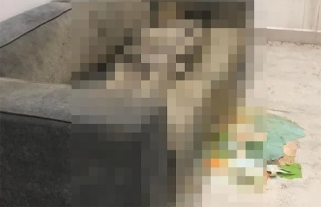 Thi thể trong căn hộ chung cư được chia sẻ trong các nhóm cư dân. (Ảnh: VOV)