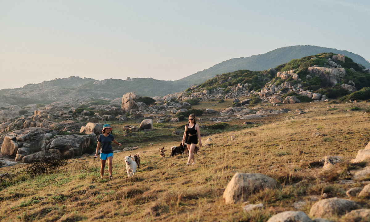 Bãi sau - nơi có những bãi đá lớn, hang động nhỏ và những thảm cỏ rộng, thích hợp để chụp hình, câu cá, đẹp nhất lúc hoàng hôn.