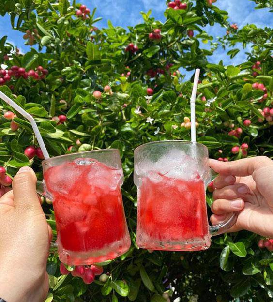 Loại quả xưa không ai biết đến, nay làm món đặc sản giải nhiệt mùa hè vừa lạ vừa bổ dưỡng, 100.000 đồng/kg - 3