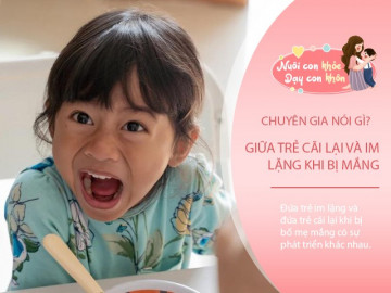 Trẻ cãi lại hay im lặng khi bị mắng? Mỗi lựa chọn sẽ quyết định tương lai khác nhau