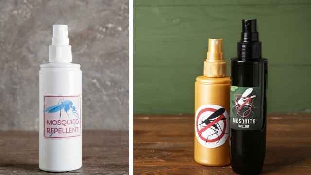 Việc mua bình xịt côn trùng theo dung tích lớn mang lại nhiều lợi ích đáng kể. Đầu tiên và quan trọng nhất là việc tiết kiệm chi phí. Bình xịt lớn thường có giá thành rẻ hơn so với việc mua từng chai nhỏ lẻ. Nhà sản xuất thường áp dụng các chính sách giảm giá hoặc chiết khấu cho những đơn đặt hàng lớn, và việc sản xuất, đóng gói và vận chuyển cũng tốn ít chi phí hơn khi được phân bổ cho một dung tích lớn.