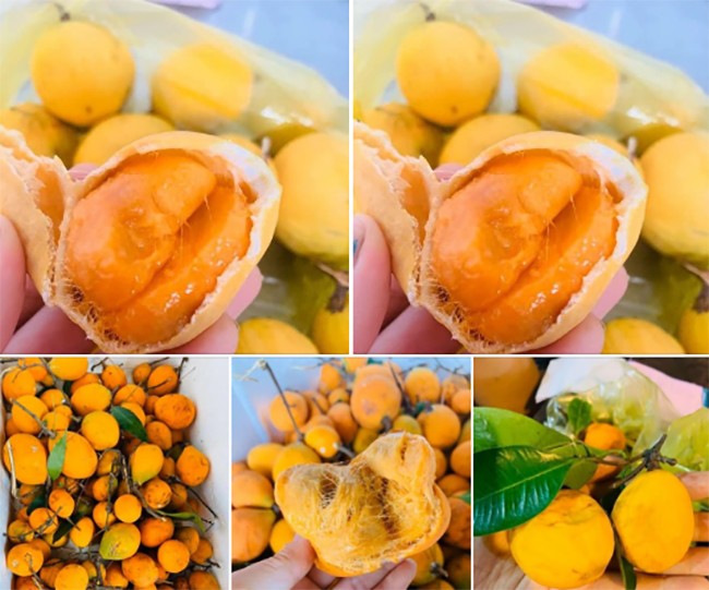 Quả gùi có vị chua ngọt hấp dẫn, nhiều người tìm mua về thưởng thức trong những ngày hè