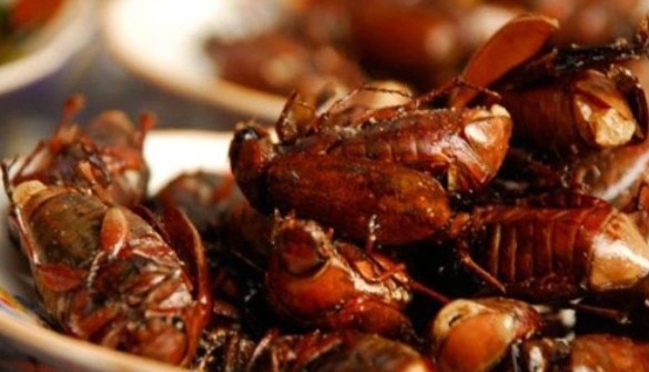 Đặc sản độc nhất vô nhị chỉ có ở An Giang, nay dân thành phố ưa chuộng vì ngon và lạ, giá 300.000 đồng/kg - 3