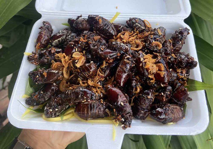 Đặc sản độc nhất vô nhị chỉ có ở An Giang, nay dân thành phố ưa chuộng vì ngon và lạ, giá 300.000 đồng/kg - 2