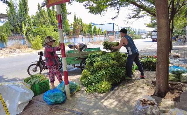 Anh Minh Râu bán hàng ế ẩm vẫn đều đặn tặng rau miễn phí, vừa lĩnh tiền ...