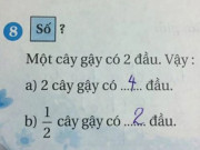 Yêu con - "Một nửa cây gậy có mấy đầu?", bài toán tiểu học tưởng dễ nhưng khiến nhiều phụ huynh đau não